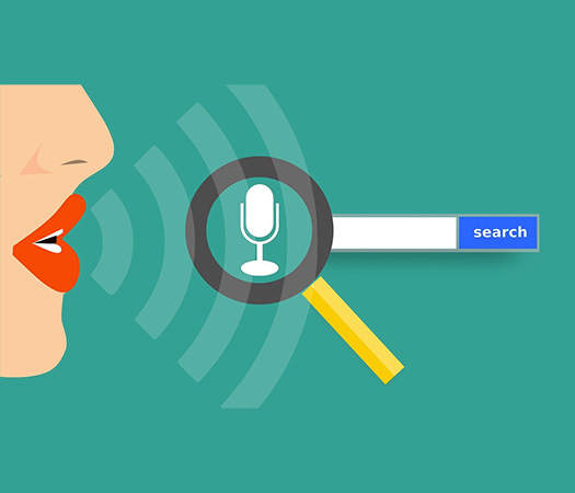 Voice Search